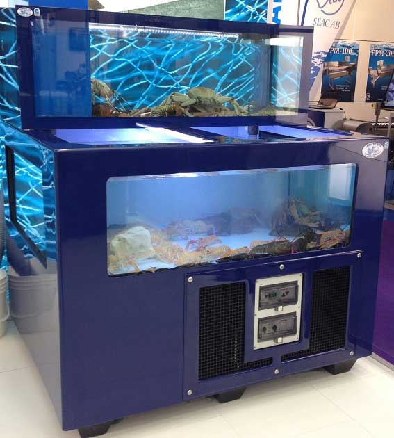 Aquário blue bay usado para supermercados e cash & carry