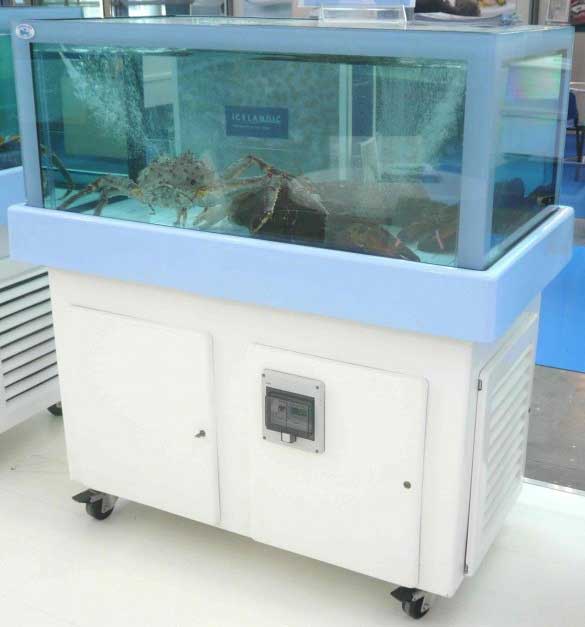Aquario para marisco usado em fibra poliester para peixarias