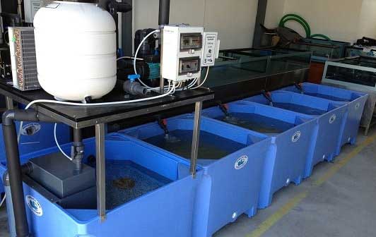 Sistema de armazenamento de crustáceos