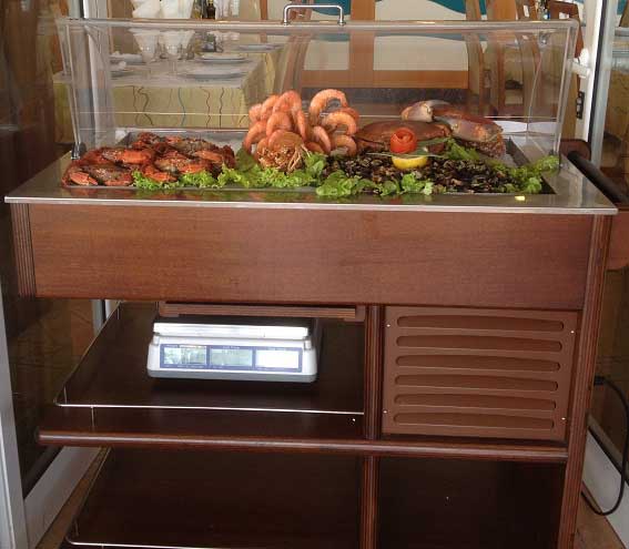 Expositor tecnofrigo pequeno de cor azul